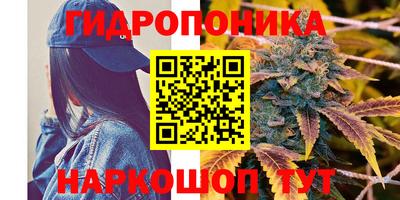 PSILOCYBIN Апрелевка