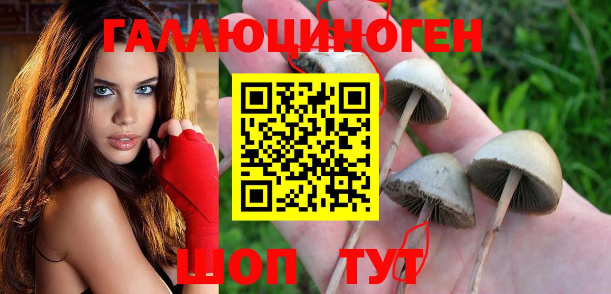как найти наркотики  Галлюциногенные грибы прущие грибы  Вход с VPN  Батайск 
