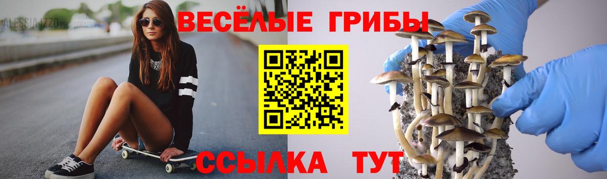Псилоцибиновые грибы Psilocybine cubensis Батайск